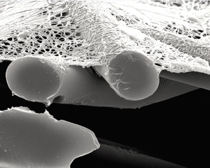 Figure 1. Clean Fine Fiber Layer Filter