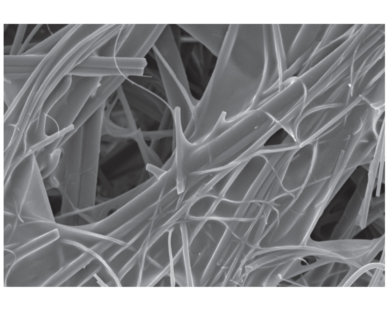  Figure 1. SEM image of polyester/glass filter media at 500 times shows resin “webbing” between fibers. 
